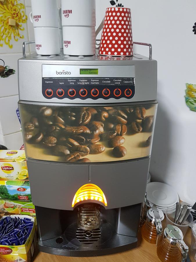 Casa Teilor Hotell Piteşti Eksteriør bilde